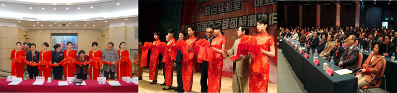 国内权威专家教授与主管领导参会 国内权威专家教授与主管领导参会