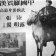 中国罗宾汉
