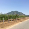 三山(福建省福州市三山)