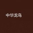 中华龙鸟(沈石溪着小说)