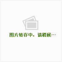 一蓑烟雨任平生(叶俊着图书)