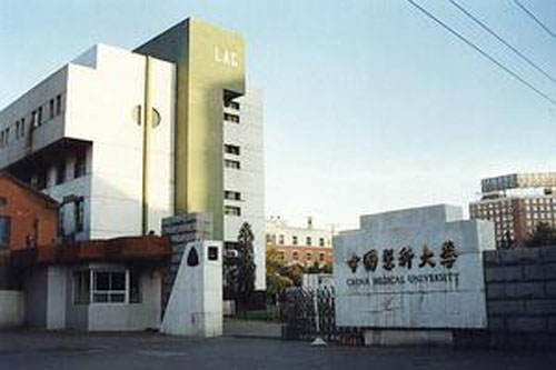 中国医科大学旧校区正门 中国医科大学旧校区正门