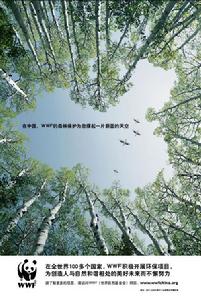 WWF WWF