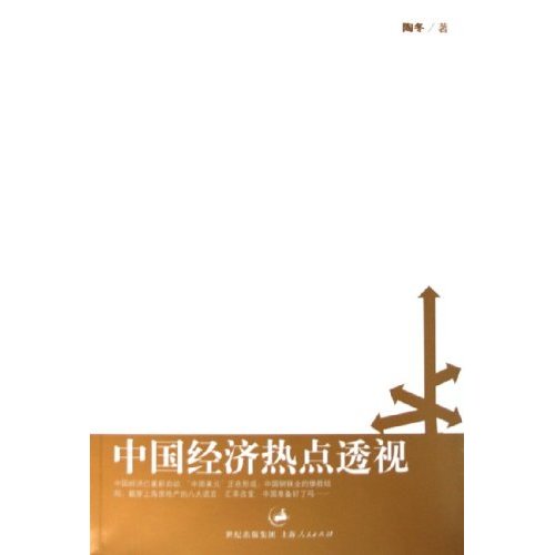 中国经济热点透视