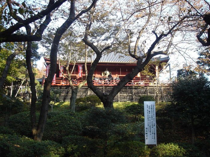 上野公园 上野公园