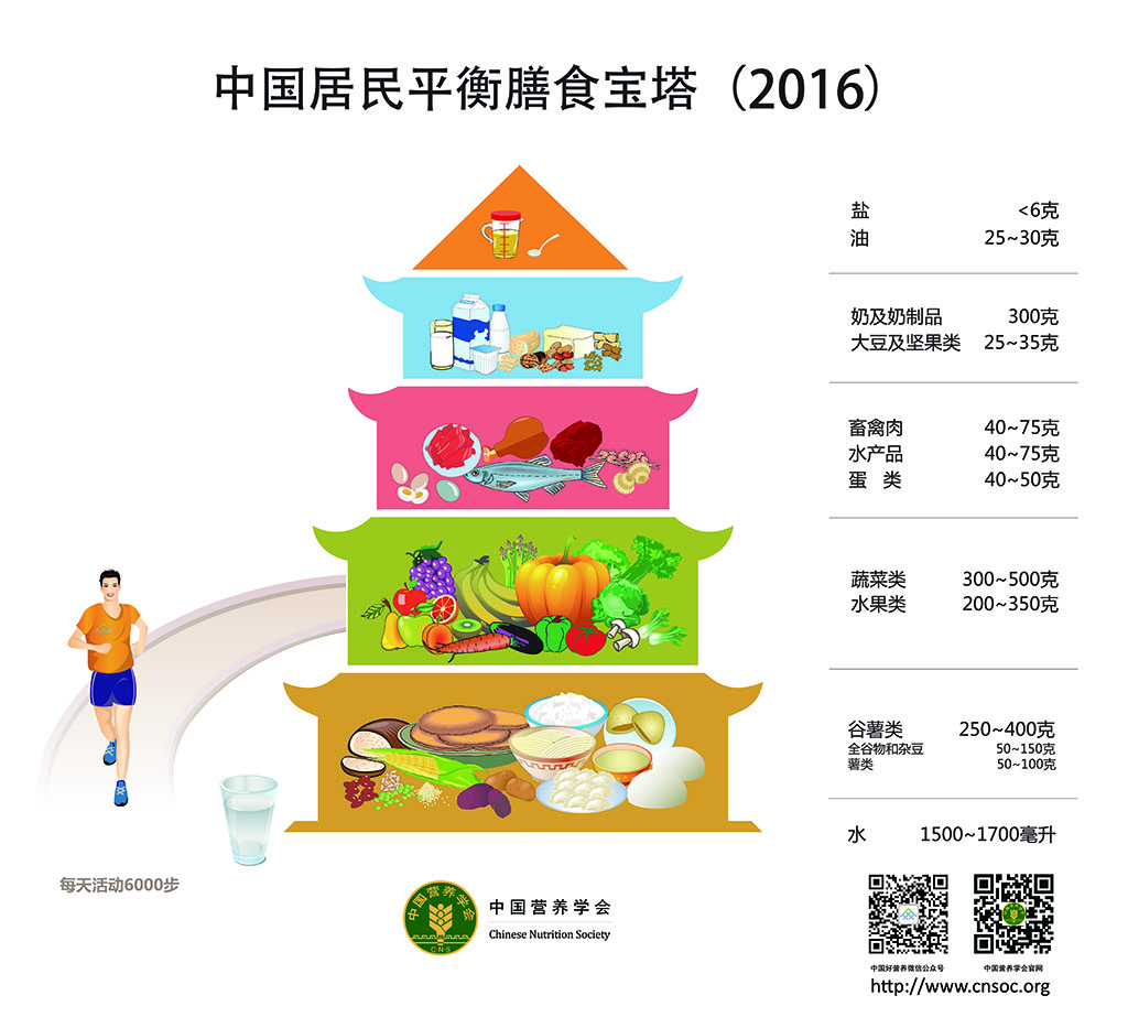 中国居民膳食指南(2016) 中国居民膳食指南(2016)