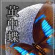 茧中蝶