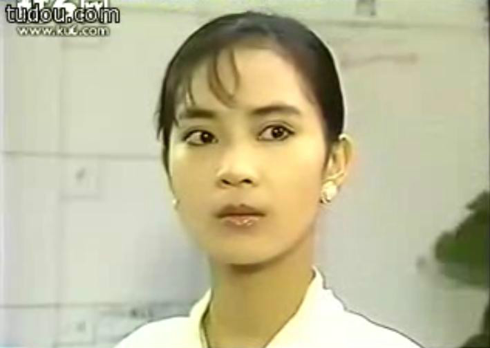 一往情深(台湾1989年华视电视剧)