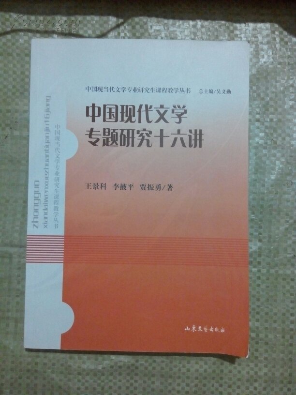 中国现代文学专题研究十六讲