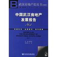 中国人才发展报告No.3