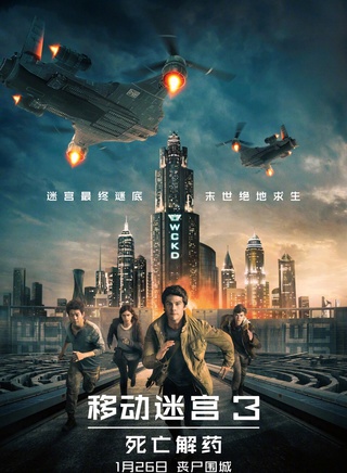 罗莎·萨拉扎尔