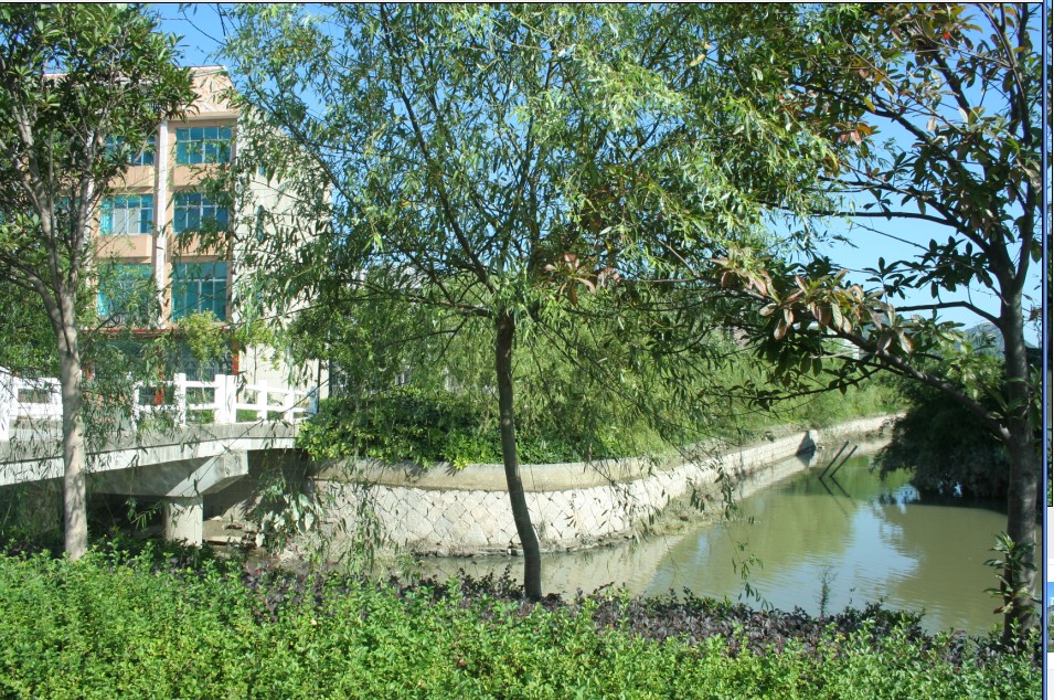 下李村(山西省隰县下李乡下辖村)