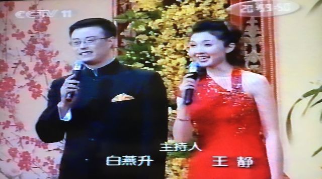 主持人(主导节目进程的专业工作者) 主持人(主导节目进程的专业工作者)