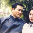 上海往事(2008年刘若英主演电视剧)