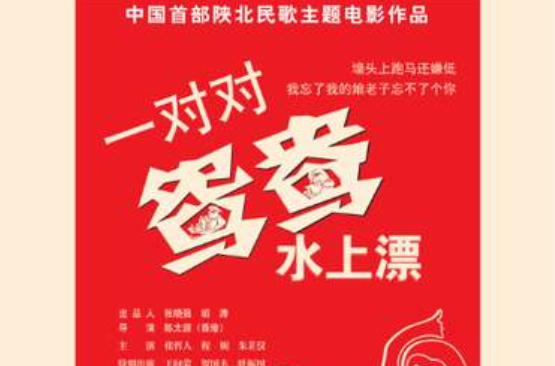 一对对鸳鸯水上漂(王向荣、张哲人主演的一部电影)