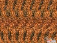 三维立体画 三维立体画