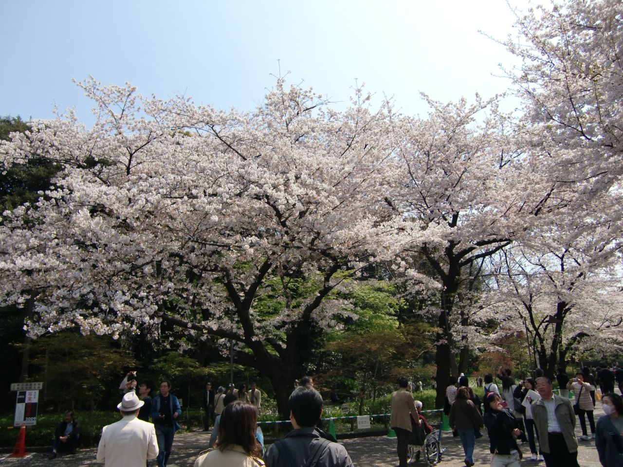 上野公园 上野公园