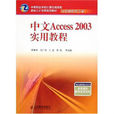 中文access2003实用教程