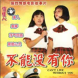 不能没有你(1998年陈军执导电影)