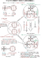 中高能核物理 中高能核物理