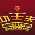 中国武术散打功夫王争霸赛