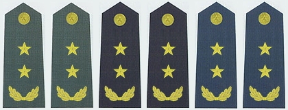 陆海空军中将常服肩章(2007~) 陆海空军中将常服肩章(2007~)