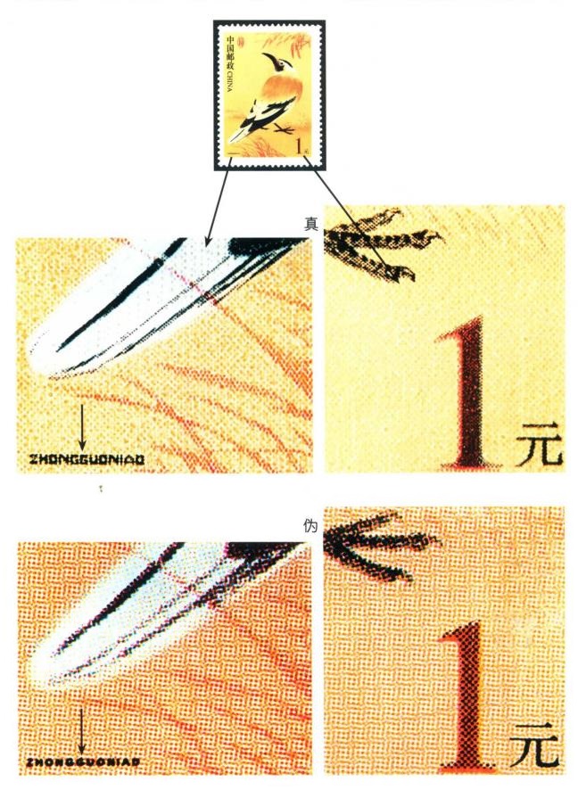 中国鸟(中国2002年发行邮票) 中国鸟(中国2002年发行邮票)