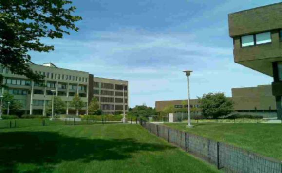 纽约州立大学石溪分校 纽约州立大学石溪分校