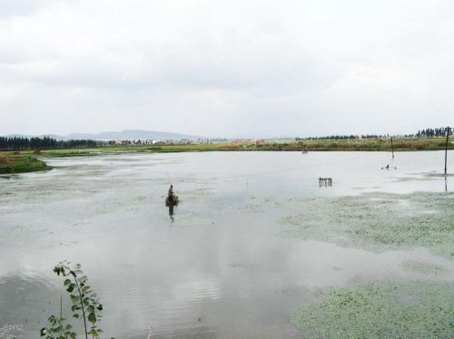 水域 水域