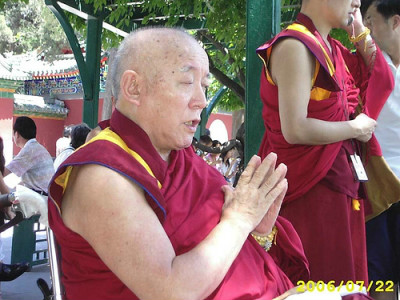 丹玛洛确仁波切