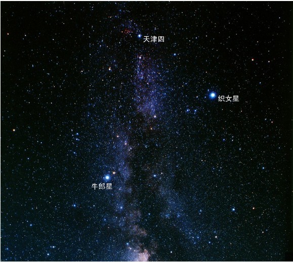 织女星(天体)