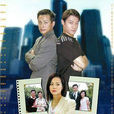 世间路(2002年陈美凤主演电视剧)