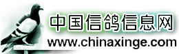 中国信鸽信息网 中国信鸽信息网