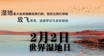 世界湿地日 世界湿地日