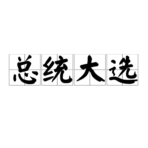 总统大选
