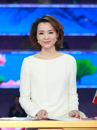中国诗词大会第四季