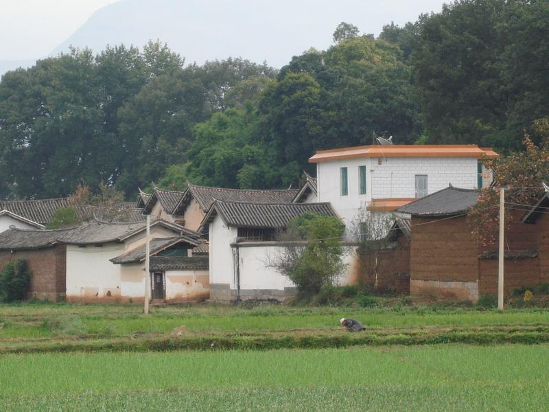 下庄村(山西省忻州市忻府区解原乡下辖村)