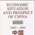中国经济形势与展望：2003-2004
