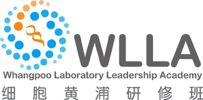 细胞黄浦(WLLA)研修班 细胞黄浦(WLLA)研修班