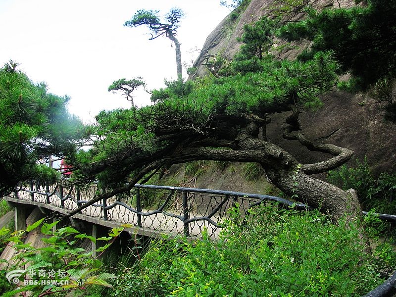 三清山栈道