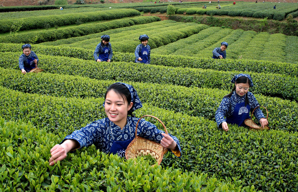中国最美的乡村 中国最美的乡村