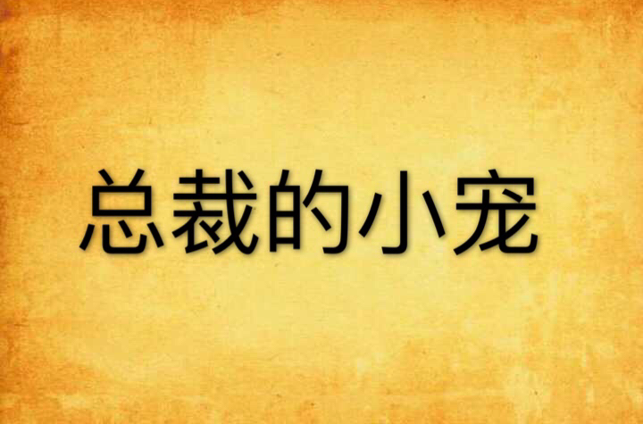 总裁的小宠