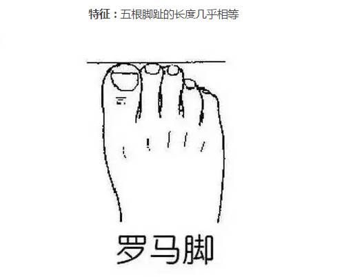 罗马脚