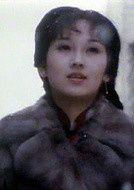 上海滩(1980年周润发、赵雅芝主演TVB电视剧)