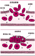 作用 作用