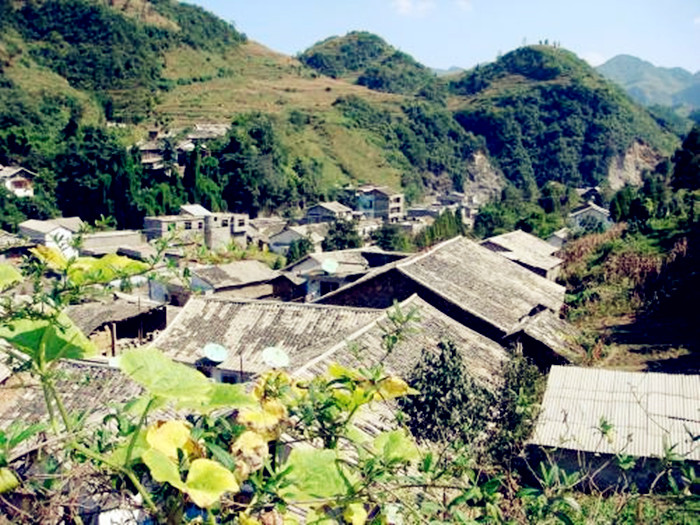 总发乡