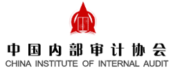 中国内部审计协会 中国内部审计协会