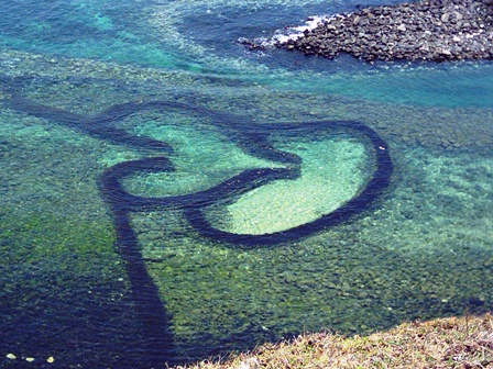 七美岛 七美岛