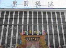中国棋院 中国棋院