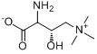 (S)-胺基酸肉硷 (S)-胺基酸肉硷